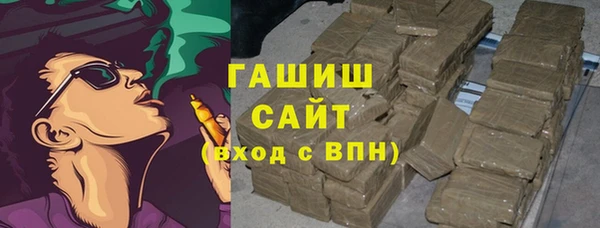 2c-b Ельня