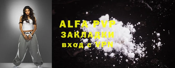 шишки Дмитровск