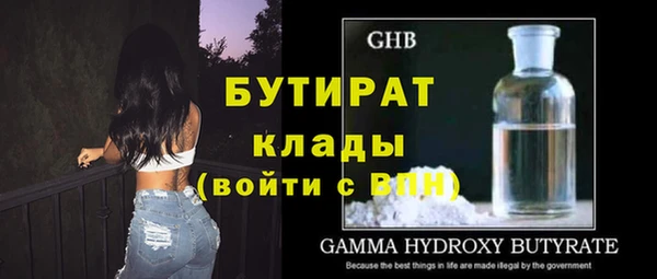 2c-b Ельня