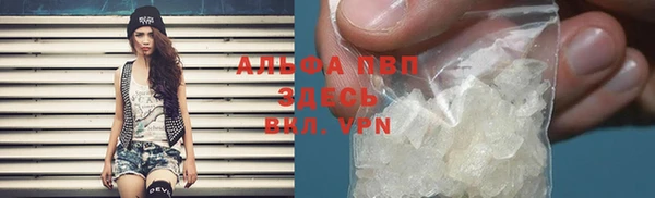шишки Дмитровск