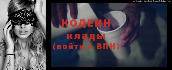 2c-b Ельня
