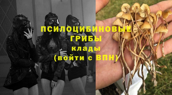 спайс Елизово
