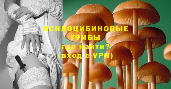 spice Елабуга