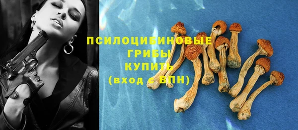 спайс Елизово