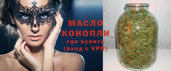 2c-b Ельня