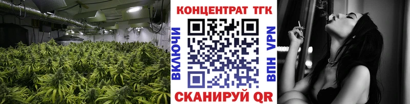 Купить где  Макаров  ТГК гашишное масло 